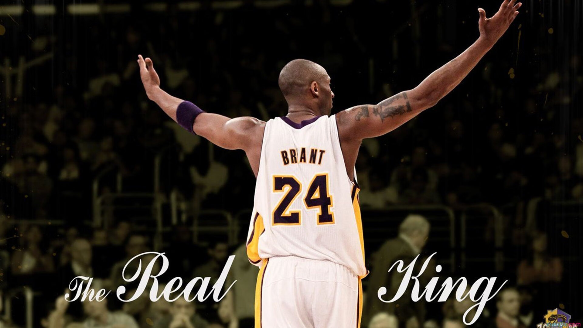 LEYU SPORTS中国官方网站-体育频道推出战术深度栏目邀请教练球员解读场上关键节点，体育频道官网